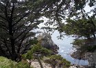 DSC04799