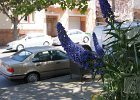DSC05307