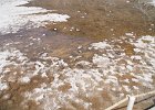 DSC06620