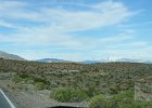 DSC06955