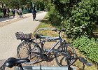 IMG_0484 ... die Leihfahrräder für 6 EUR am Tag :-)