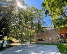 12. Juli Waldwipfelpfad in Heringsdorf